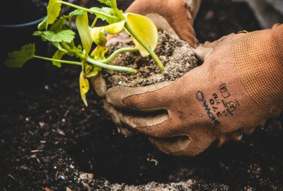 jonathan-kemper-CbZh3kaPxrE-unsplash